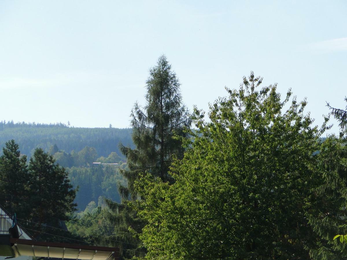 Willa Sokolowka Polanica-Zdrój Exteriér fotografie